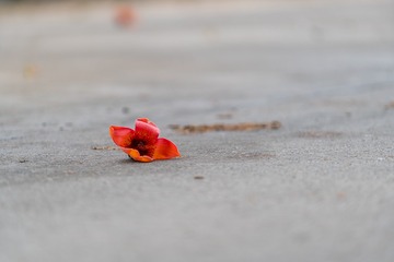 153020