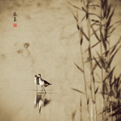 相伴