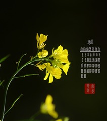 296844