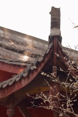 74130104-4D8D-439D-8845-070D9D210DC0/L0/001