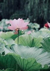 D8868B0B-D34F-4584-8BBA-A2A6DEF71492/L0/001