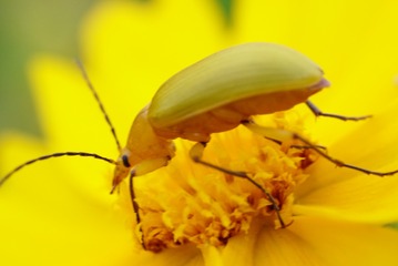 124689