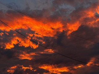 EE25C006-3723-4D57-9295-FF178AA3433C/L0/001