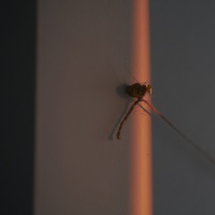1CD02B01-D9CD-4913-AB3C-A7F8388917AE/L0/001