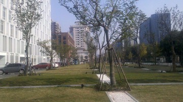 IMG_20111128_131234.jpg