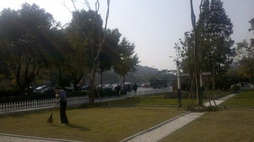 IMG_20111128_131253.jpg
