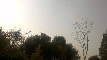 IMG_20111128_131426.jpg