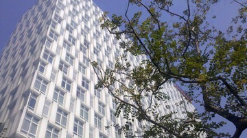 IMG_20111128_131503.jpg