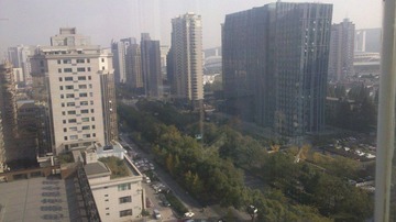 IMG_20111128_132955.jpg