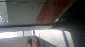IMG_20111128_133037.jpg