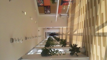 IMG_20111128_134008.jpg