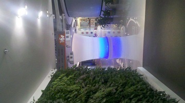 IMG_20111128_134203.jpg