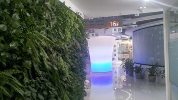 IMG_20111128_134209.jpg