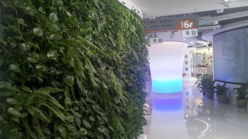 IMG_20111128_134216.jpg