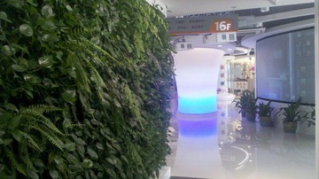 IMG_20111128_134222.jpg