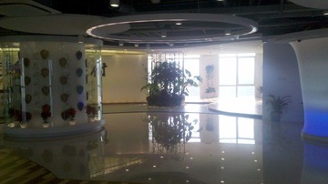IMG_20111128_134330.jpg