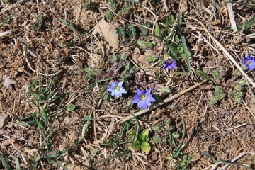 IMG_2517.JPG