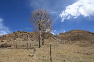 IMG_2544.JPG