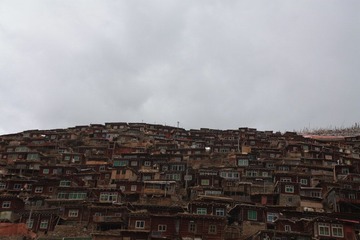 IMG_2561.JPG