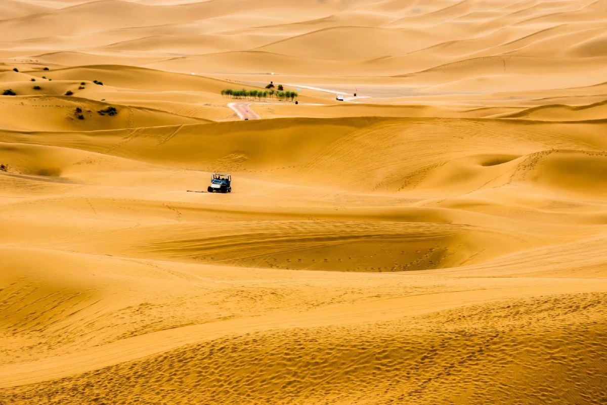 驰骋沙山 - 十指扣 - 图虫网 - 最好的摄影师都在这