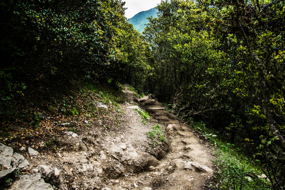 拍摄于四姑娘山游客进山道与马道同道同行