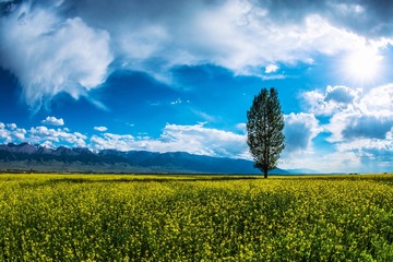 355DA586-95AE-4F72-A80D-6A0DB3C07C6A/L0/001