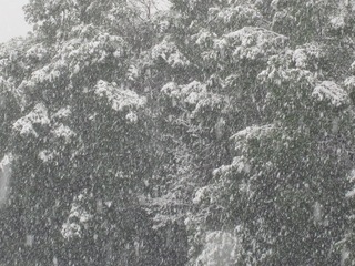 45220533-7F66-4027-8C5A-971438810DB6/L0/001
