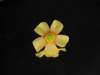 4A296EB0-784B-4B72-98DF-CEB019EC1110/L0/001