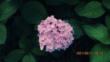 D6A94E0A-AA3E-4BA5-A00B-BDA7A07E0A66/L0/001