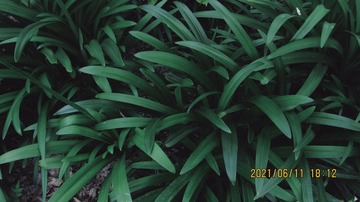 4E4D91FE-F845-4CDD-B911-AD68FDC4B975/L0/001