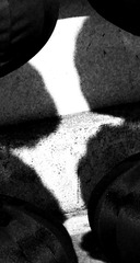 S001237520160217