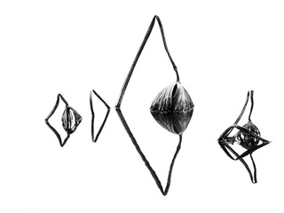 “S0190081”为智能对象-1