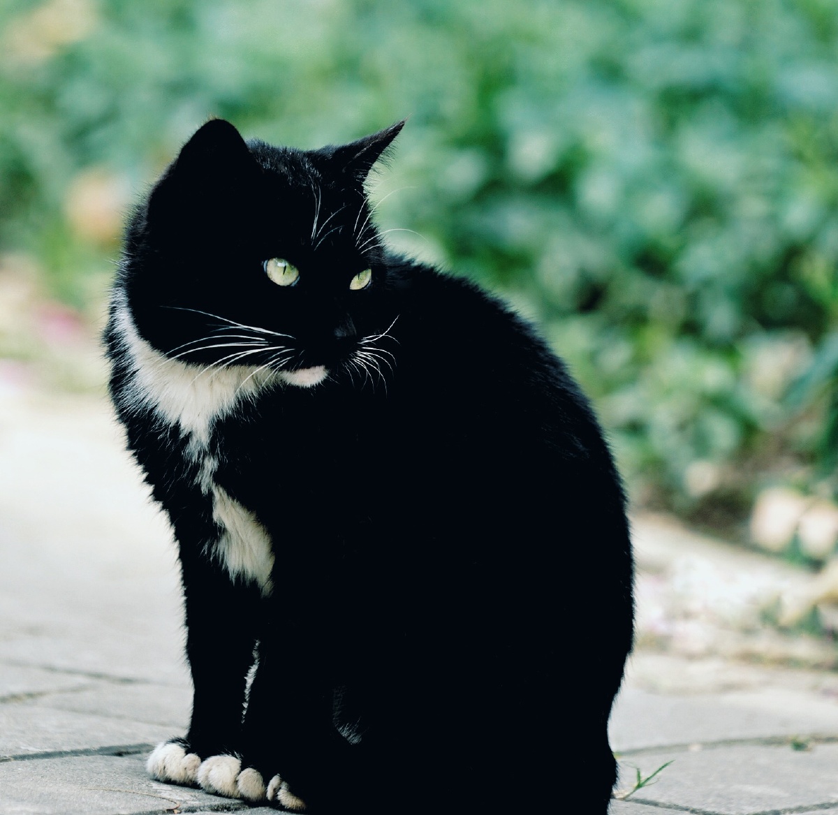 只是因为在人群中多看了你一眼