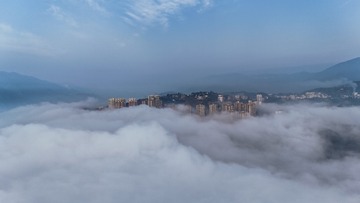 1000017866