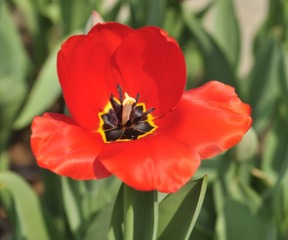 53