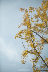 174A252E-4014-494A-8C19-CC8CD43773A1/L0/001