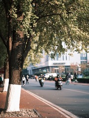 5C253731-66E8-4625-AF26-5BD0C72075A5/L0/001