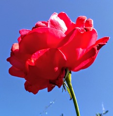 5879865