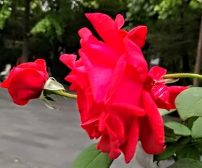 5863367