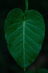 1499514