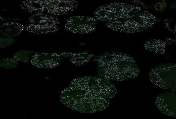 644CCE5D-7BEC-4DCC-B680-7F8C6B9DED67/L0/001