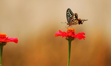 20160930111902_IMG_3125-02