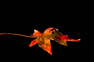 IMG_3702-01