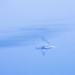 2074324