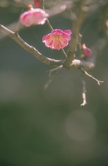 1320430