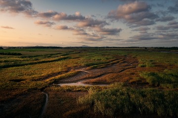 湿地-锦州机场路