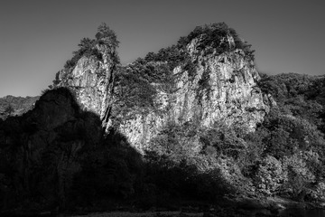 秋山