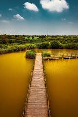 黄河故道-山东东营黄河口生态旅游区