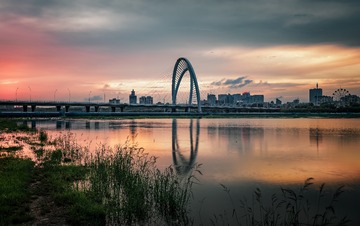 云飞草长-锦州