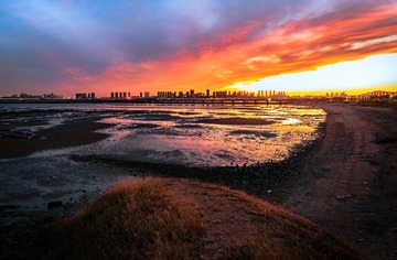 退潮的海岸-锦州